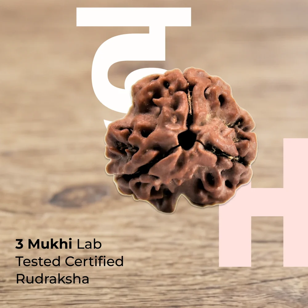 3 Mukhi Lab Certified Rudraksha – 60% OFF